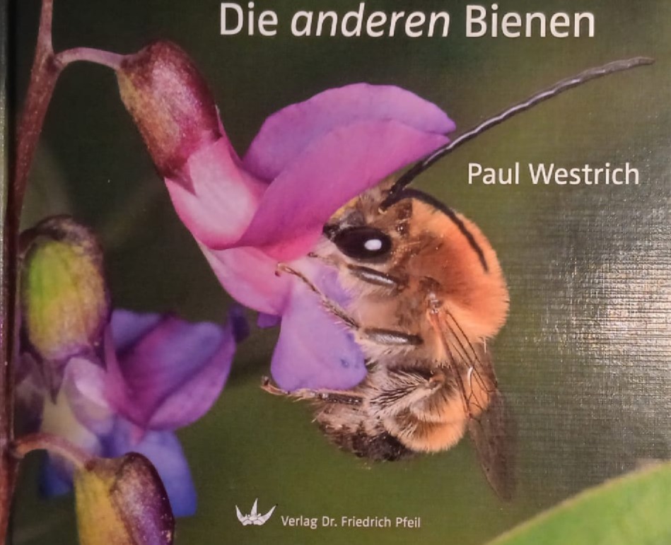 Wildbienen und Co.