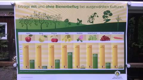 mit und ohne Bestäubung © KDR
